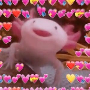 Meet your Posher, Eva